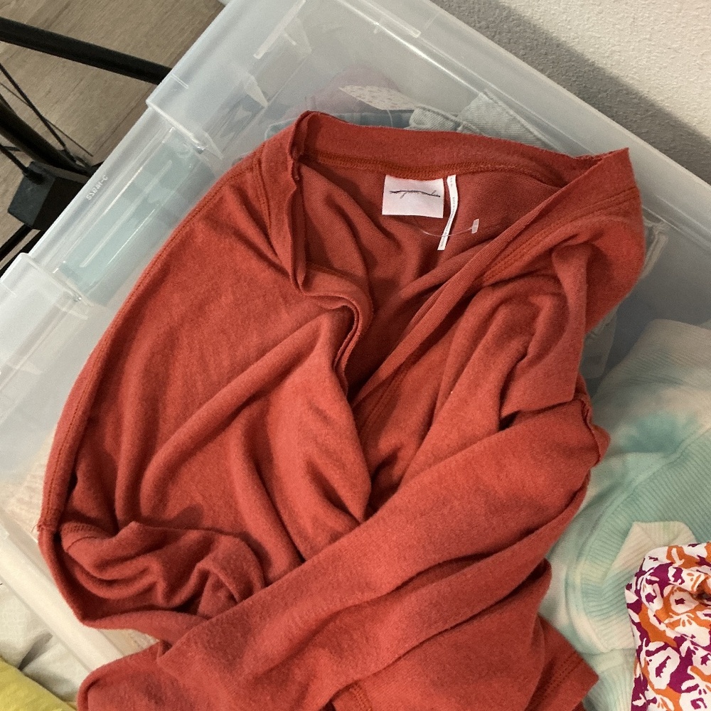 Urban Outfitters Terracotta Sweatshirt